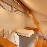 Hexenburgbeidresden Mit Faßsauna 4 Raum Architektengaleriewohnung Mit Whirlwanne, Kamin, Balkon-nähe Sächsische Schweiz Dresden