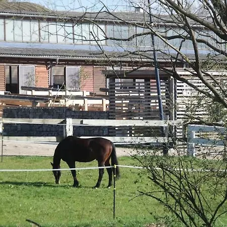 Hexenburgbeidresden Mit Fasssauna 4 Raum Architektengaleriewohnung Mit Whirlwanne, Kamin, Balkon-naehe Saechsische Schweiz Dresden דירה *