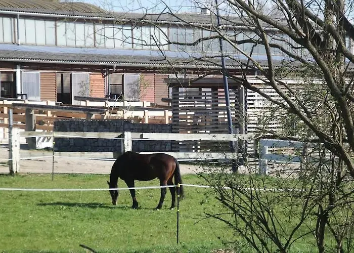 Hexenburgbeidresden Mit Fasssauna 4 Raum Architektengaleriewohnung Mit Whirlwanne, Kamin, Balkon-naehe Saechsische Schweiz Dresden アパート *